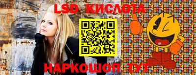 винт Заволжье
