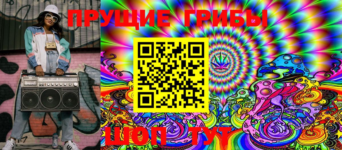 Лесной  Псилоцибиновые грибы MAGIC MUSHROOMS  Галлюциногенные грибы Psilocybine cubensis  Вход с VPN 