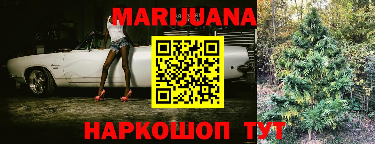 Канабис конопля Лесной